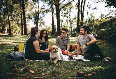 The Ultimate Guide to Scenic Sydney Picnic Spots for CouplesIllustration
