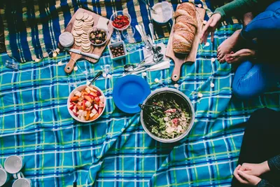Proposal Picnic Essentials: What to Bring for a Memorable MomentIllustration