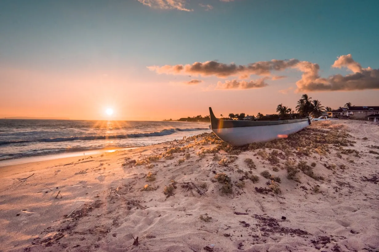 Romantic Beachside Engagement Ideas Around SydneyIllustration