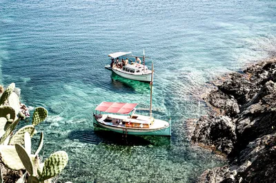 Seaside Serenity: Romantic Beach Picnic Spots Around SydneyIllustration