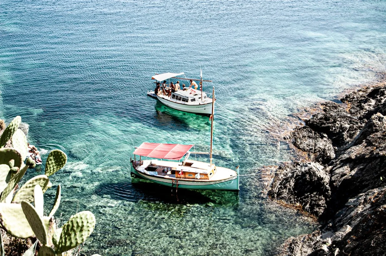 Seaside Serenity: Romantic Beach Picnic Spots Around SydneyIllustration