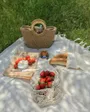 Create a Picture-Perfect Engagement with Personalized Picnic Moments Photo