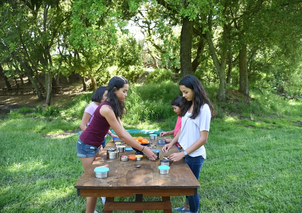 Creating Personalized Picnic Experiences in SydneyIllustration